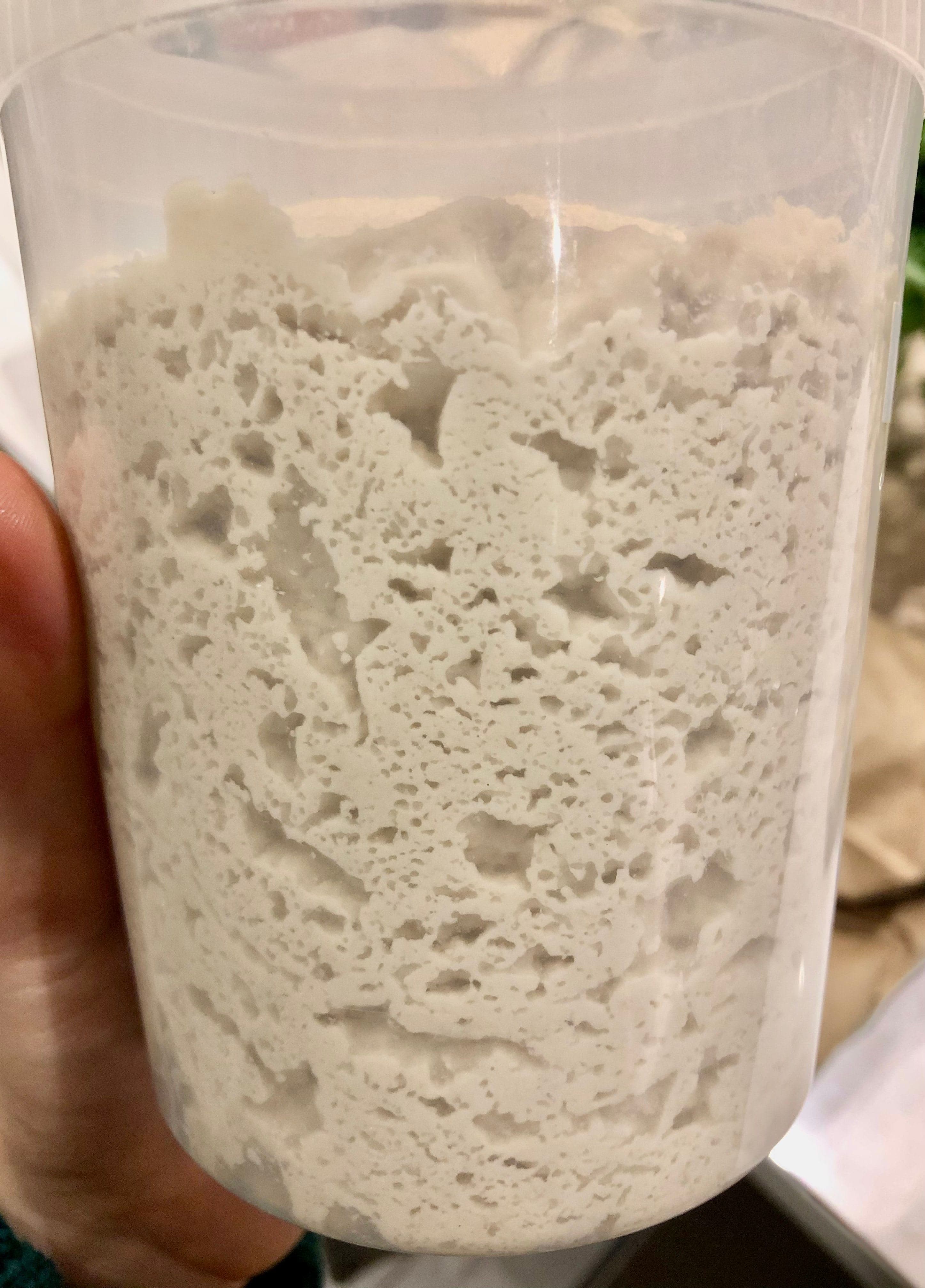GF Sourdough Starter 1.jpg