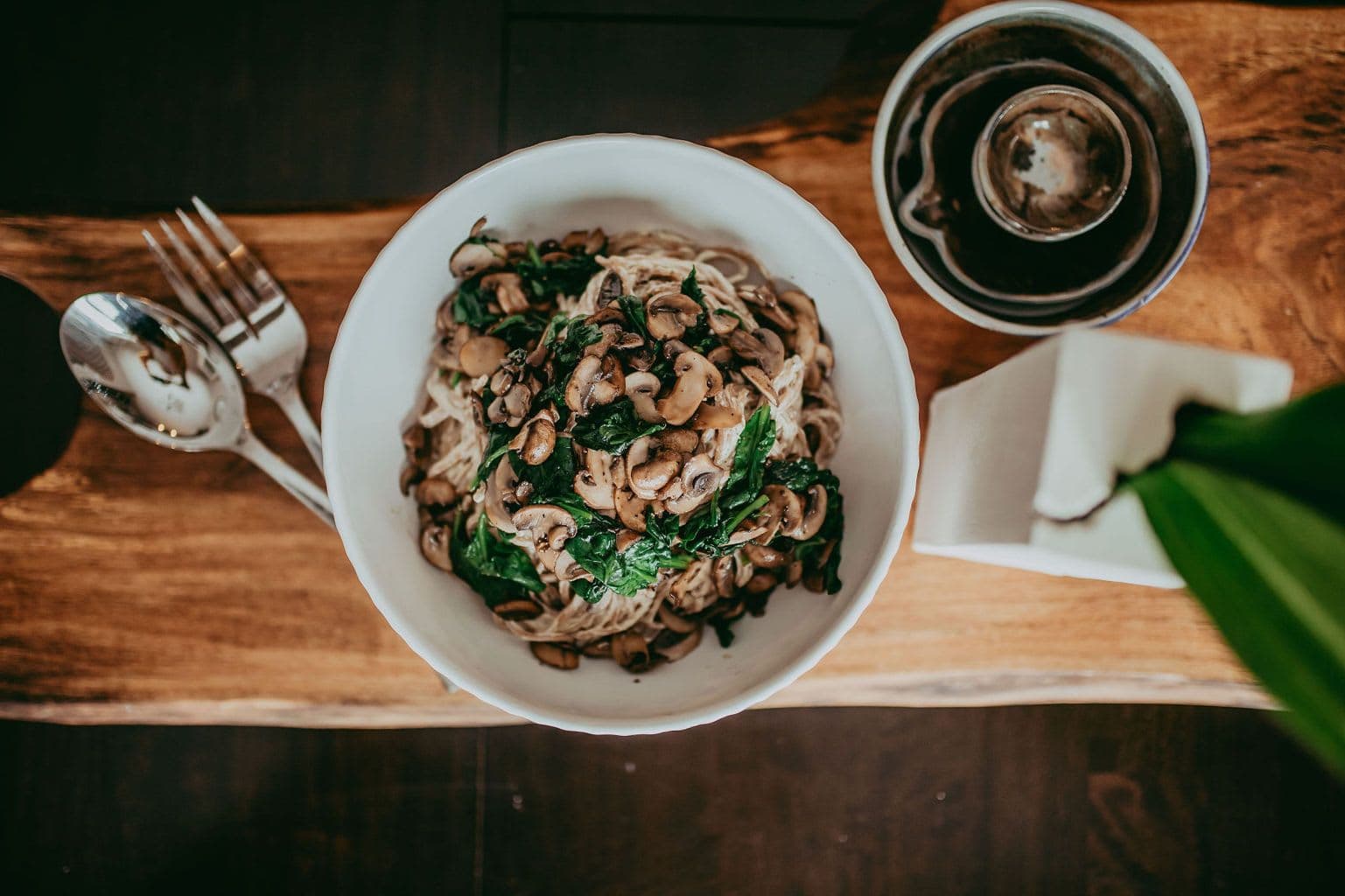 plant based alfredo1.jpg