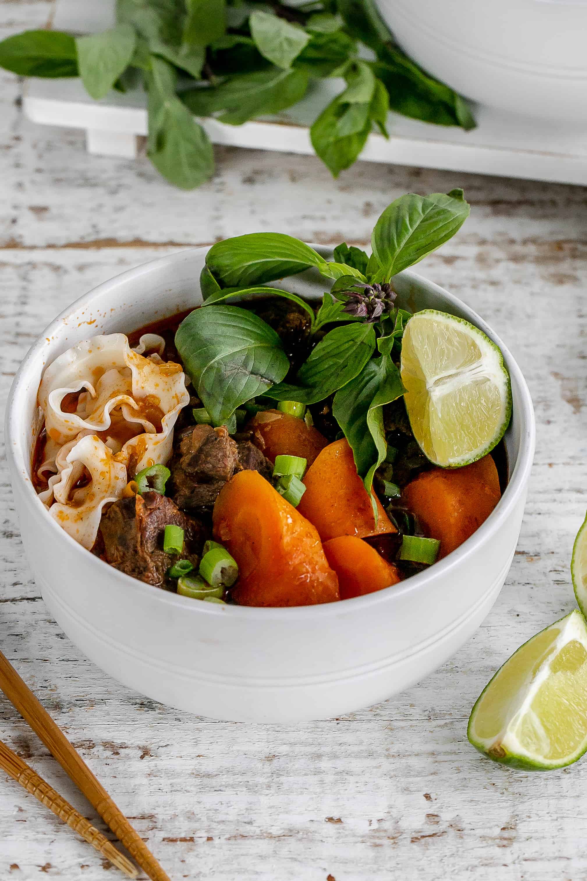 Vietnamese Beef Stew