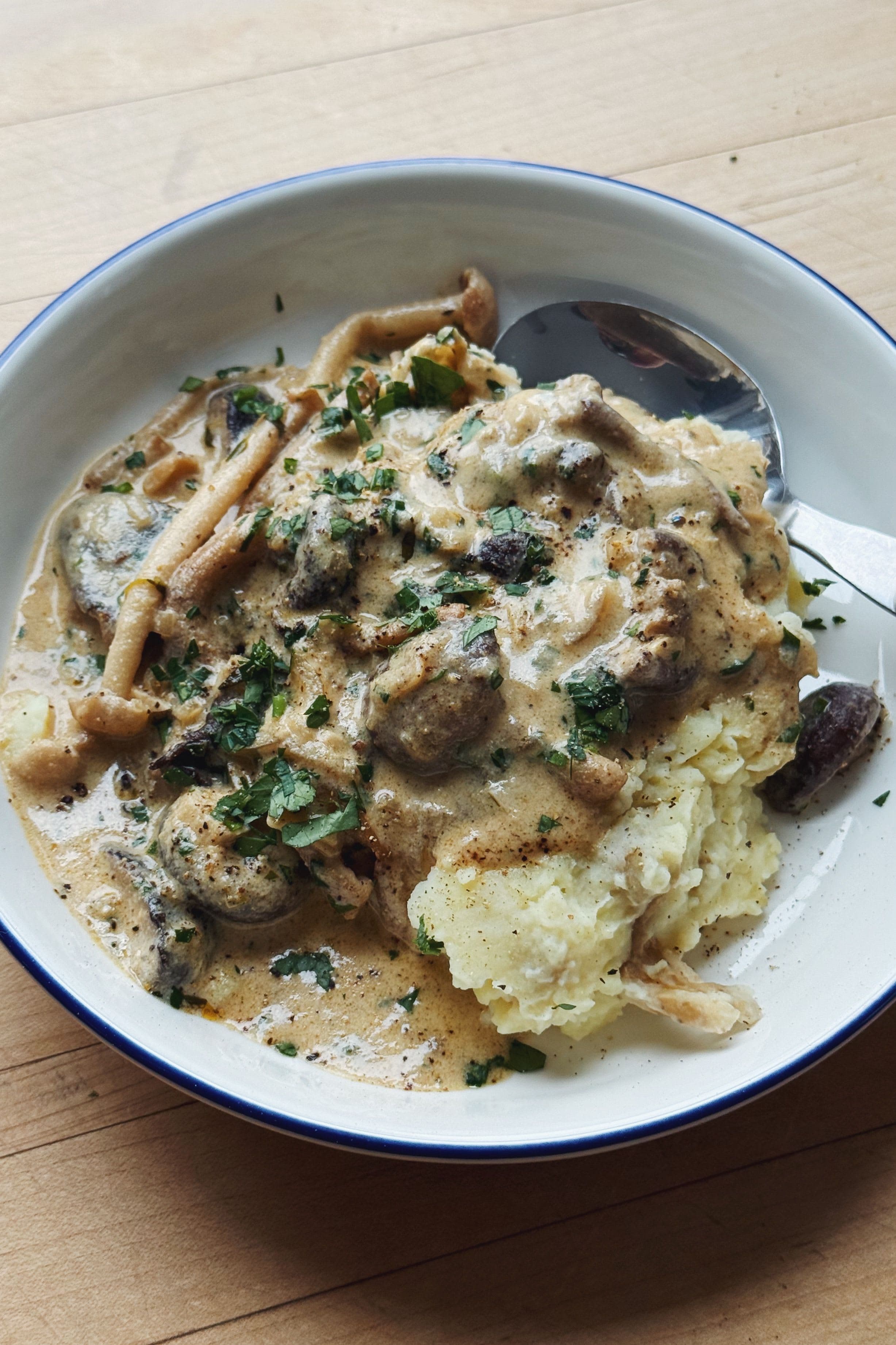 Fran Allen Mushroom Strog 3.jpg